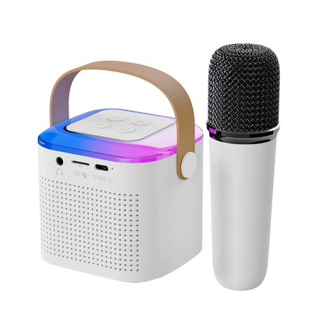 HAUT PARLEUR + MICRO KARAOKE ROSE