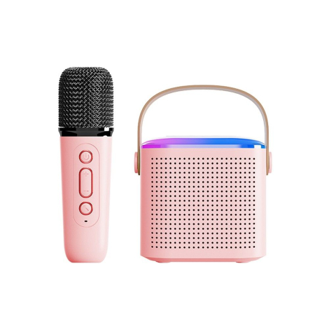 HAUT PARLEUR + MICRO KARAOKE ROSE