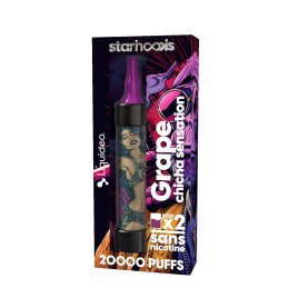 STARHOOKS CHICHA20000 PUFFS Coconut Ice Cream + 2 PODS