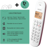 TELEPHONE SANS FIL - MAINS LIBRES ILOA 150 ARDOISE LOGICOM