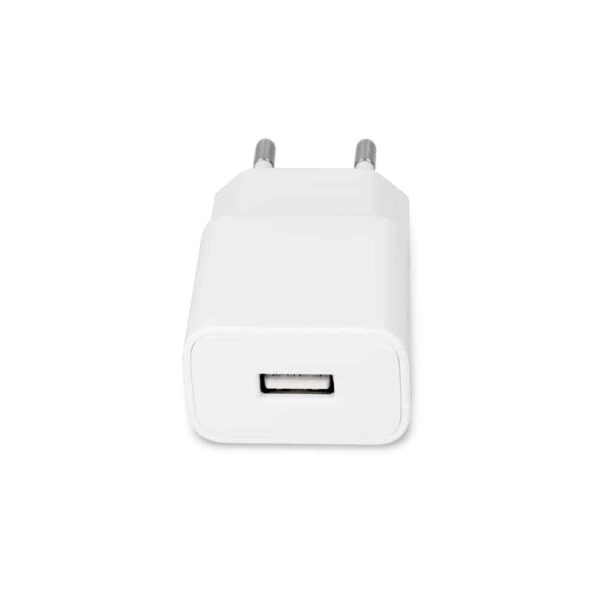 CHARGEUR TYPE C 1A
