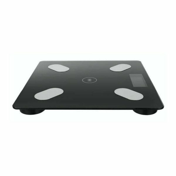 BALANCE CONNECTEE EXTRA PLATE – Image 2