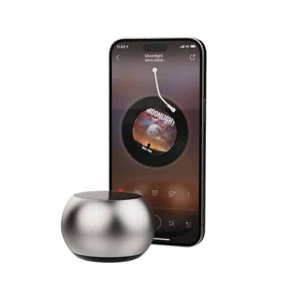 HAUT PARLEUR SILVER BLUETOOTH DZ017 – Image 3